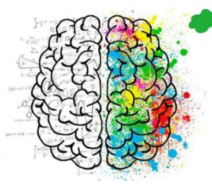 Ilustración de un cerebro dividido entre fórmulas y manchas de color, sobre la diferencia entre psicología y psicoterapia